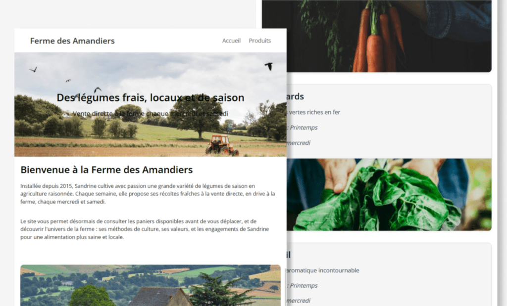 Portfolio : mock-up du site internet La Ferme des Amandiers