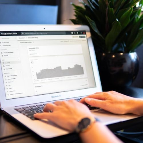 Ressources graphisme : image d'une personne utilisant un pc et analysant ses statistiques sur Google Search Console